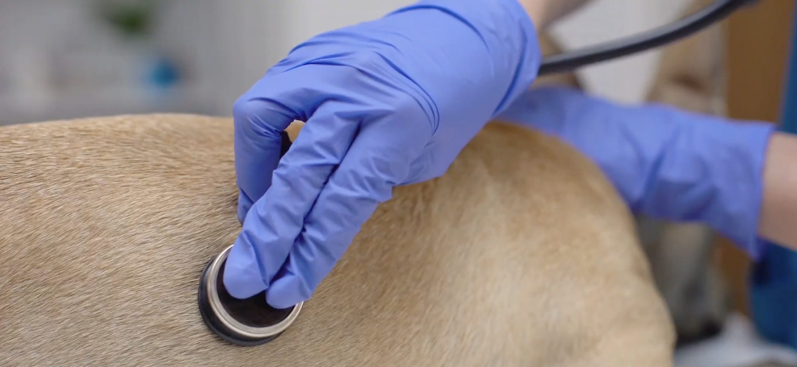 Fare prevenzione con i piani di salute