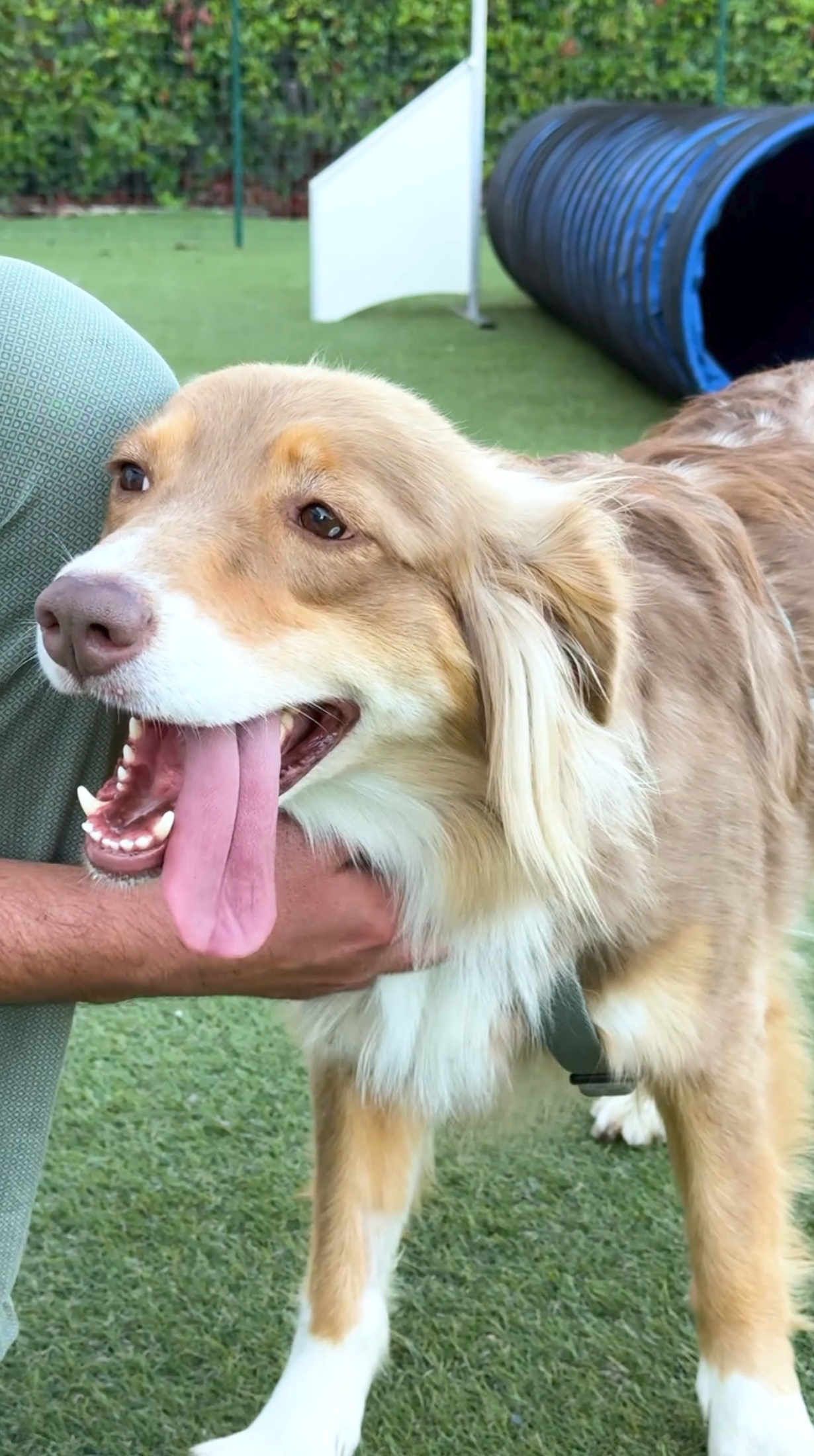 Dalla visione alla realtà